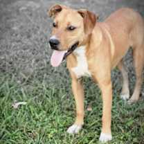 Thumbnail photo of Buster #1