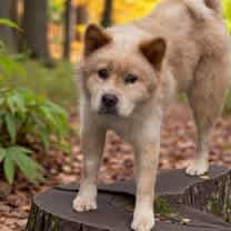 Thumbnail photo of Honey #3