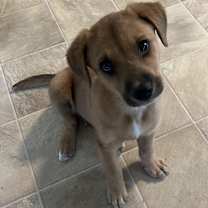 Thumbnail photo of Nicholas #1