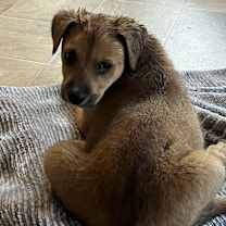 Thumbnail photo of Nicholas #2