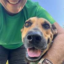 Thumbnail photo of Mo #2