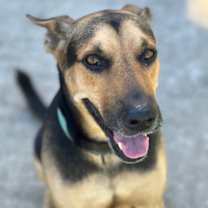 Thumbnail photo of Mo #3