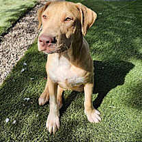 Thumbnail photo of Cade #3