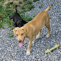 Thumbnail photo of Cade #4