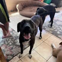 Thumbnail photo of Corina #1