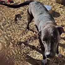 Thumbnail photo of Corina #2