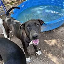 Thumbnail photo of Corina #3