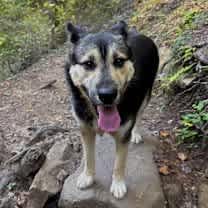 Thumbnail photo of Hudson #1