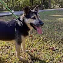 Thumbnail photo of Hudson #3