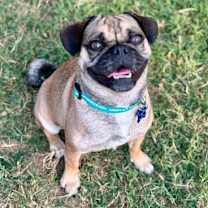 Thumbnail photo of Kiara #1