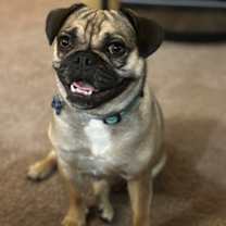 Thumbnail photo of Kiara #2