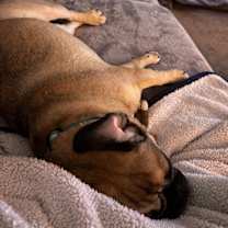 Thumbnail photo of Kiara #3