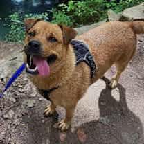 Thumbnail photo of Serena #1