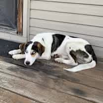 Thumbnail photo of Tony #2