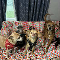 Thumbnail photo of Yoda #2