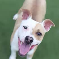 Thumbnail photo of Camp #1