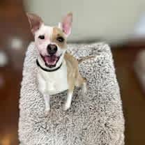 Thumbnail photo of Camp #2