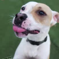 Thumbnail photo of Camp #3