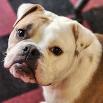 Thumbnail photo of Margo #1