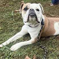 Thumbnail photo of Margo #2