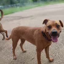 Thumbnail photo of Lois #4