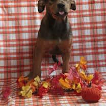 Thumbnail photo of Whimsy #2