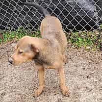 Thumbnail photo of Whimsy #4