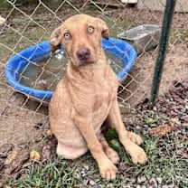 Thumbnail photo of Woody #2