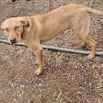 Thumbnail photo of Woody #4