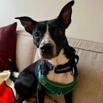 Thumbnail photo of Little Girl #1