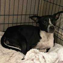 Thumbnail photo of Little Girl #3