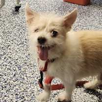 Thumbnail photo of Sunny #1