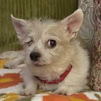 Thumbnail photo of Sunny #2