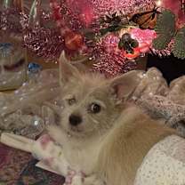 Thumbnail photo of Sunny #3