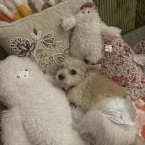 Thumbnail photo of Sunny #4