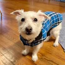 Thumbnail photo of Luke #1