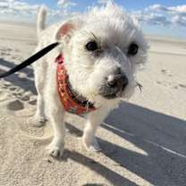 Thumbnail photo of Luke #2