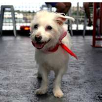 Thumbnail photo of Luke #3