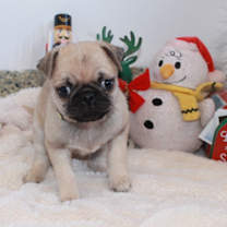 Thumbnail photo of Bettsy #2