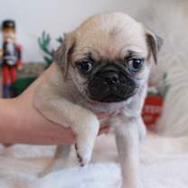 Thumbnail photo of Bettsy #3