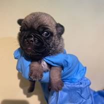 Thumbnail photo of Bettsy #4