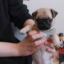 Thumbnail photo of Andi #3