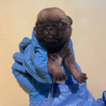 Thumbnail photo of Andi #4