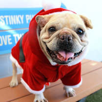 Thumbnail photo of Adele #1