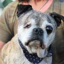 Thumbnail photo of Rockie #1