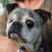 Thumbnail photo of Rockie #2