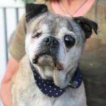 Thumbnail photo of Rockie #3