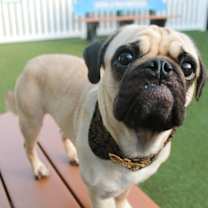 Thumbnail photo of Cherith #1