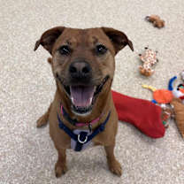 Thumbnail photo of Lenore "Lennie #1