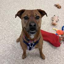 Thumbnail photo of Lenore "Lennie #2